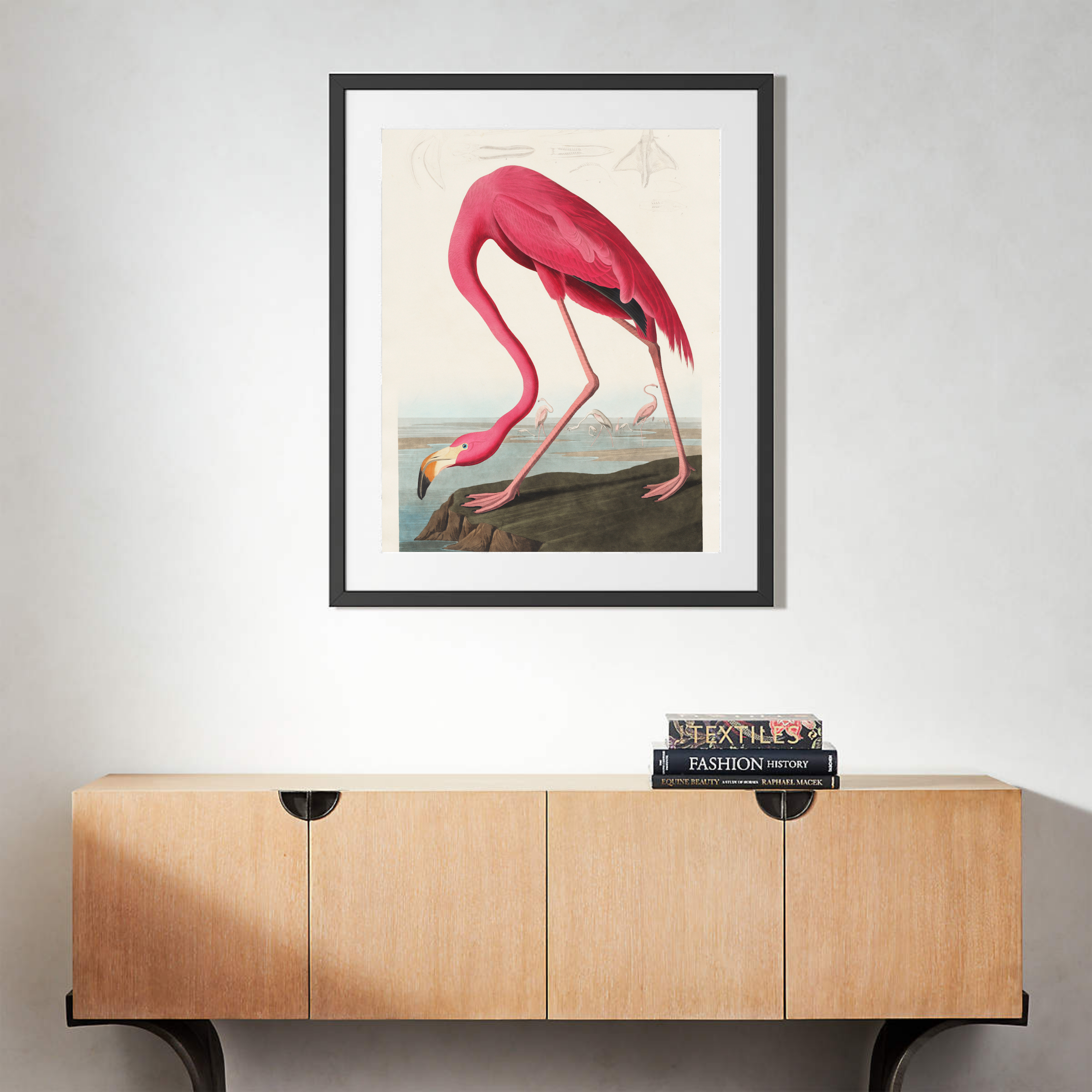 Flamant Rose