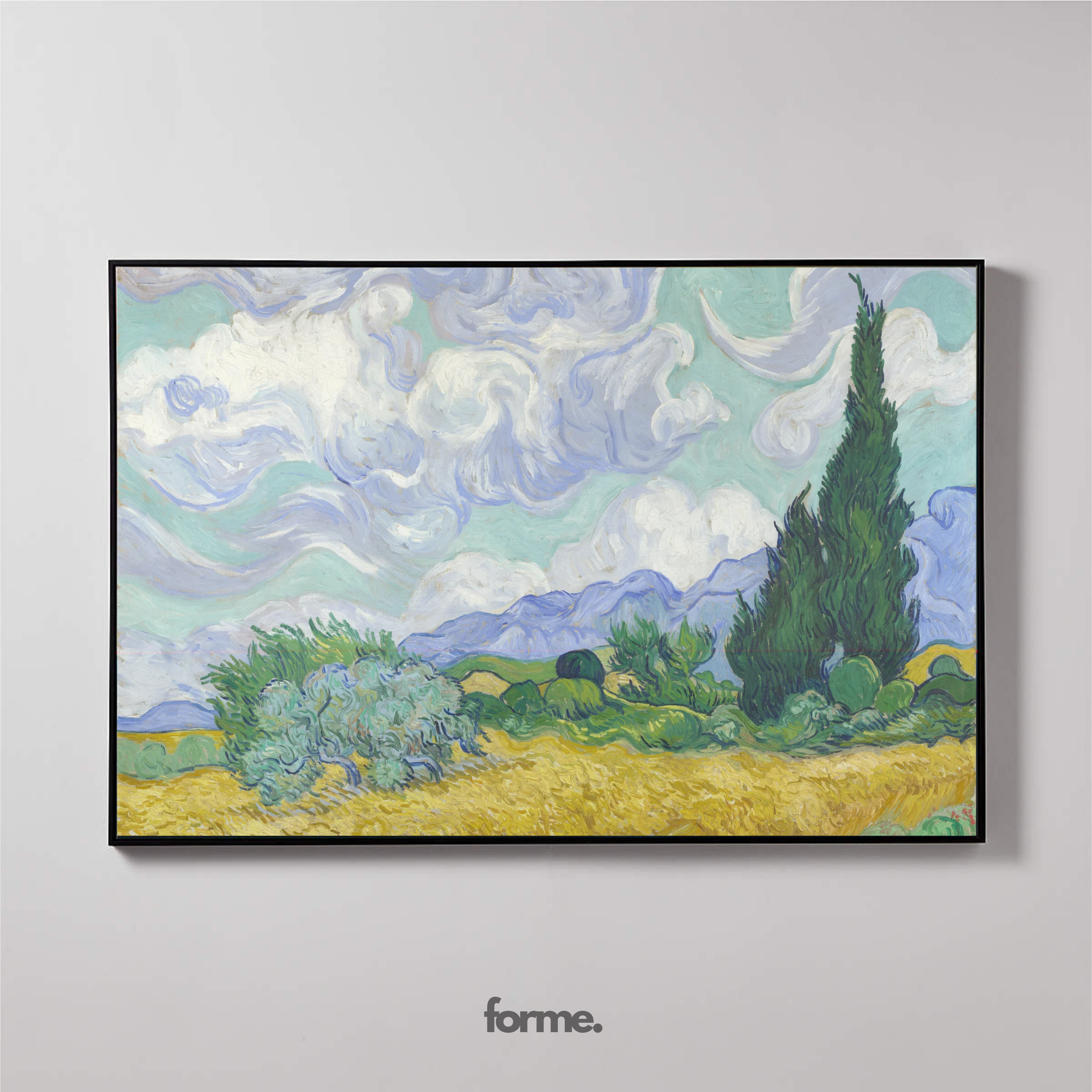 Wheat field with cypresses